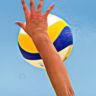 volleypunter
