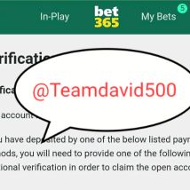 Teamdavid