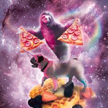 Sloth Motion
