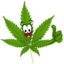 Cannabets