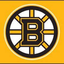 BRUINS