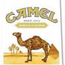Camel 1913