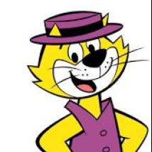 Don Gato Picks