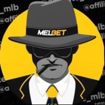 karel Affiliate Manger Melbet