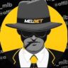karel Affiliate Manger Melbet