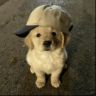 junior_tp