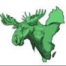 MooseTips