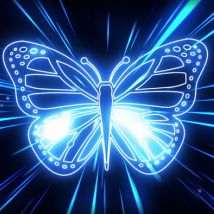Blue Butterfly