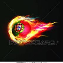 reizebinho