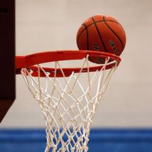 1basket1day