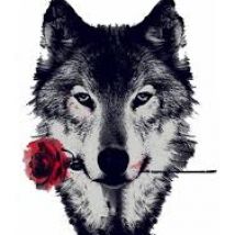 lobo21