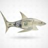 Money Predator✅