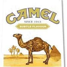 Camel 1913