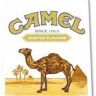 Camel 1913