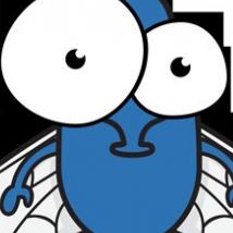 Flystake