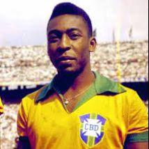 fourty four