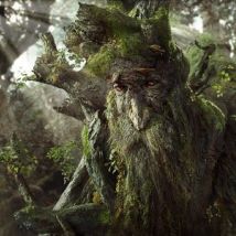 Fangorn