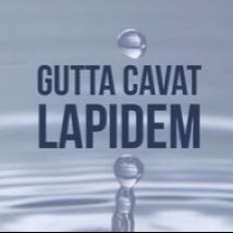 Gutta cavat lapidem!