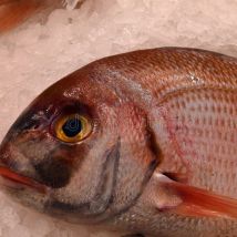 GoalFish