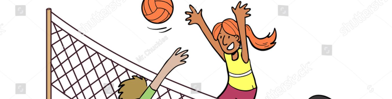 VolleyBrain