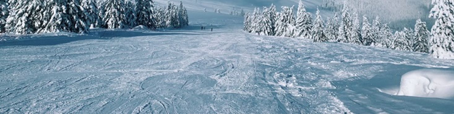 Winterwhacker